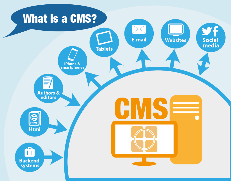 best-cms-for-web-development-msa-technosoft