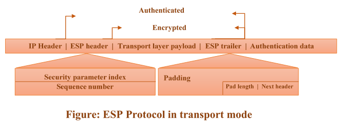 esp-protocol-msa-technosoft