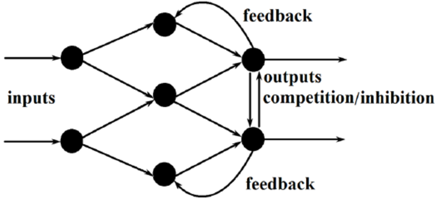 feedback neural network MSA-Technosoft