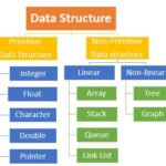 classification-data-structure-msa-technosoft | Tech Blogs – MSA Technosoft